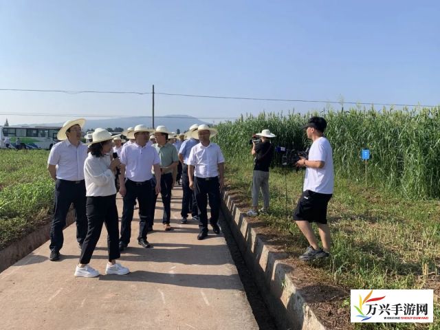 在线久草，从农业角度探讨互联网技术如何优化传统草业管理