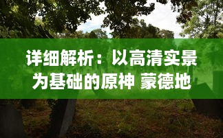 详细解析：以高清实景为基础的原神 蒙德地灵龛全区域分布位置导览图 v2.2.2下载