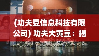 (功夫豆信息科技有限公司) 功夫大黄豆：揭秘豆豉制作的古老艺术与现代健康养生之道