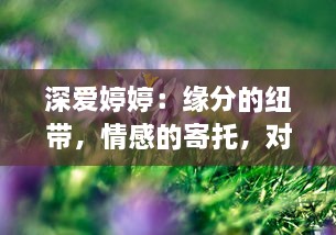 深爱婷婷：缘分的纽带，情感的寄托，对一段美好记忆的持久追忆