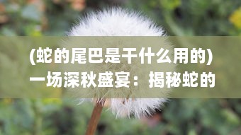 (蛇的尾巴是干什么用的) 一场深秋盛宴：揭秘蛇的尾巴还在我的花丛中的神秘与浪漫