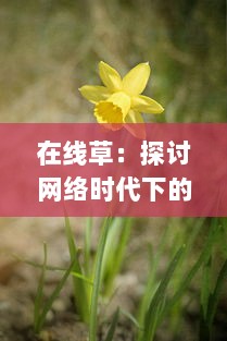 在线草：探讨网络时代下的自然植被保护与环境可持续发展策略