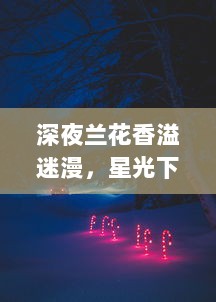 深夜兰花香溢迷漫，星光下的秘密花园 ，揭秘夜兰神秘生态与独特魅力