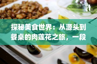 探秘美食世界：从源头到餐桌的肉莲花之旅，一段揭示中国传统烹饪艺术的美味探索 v8.4.9下载