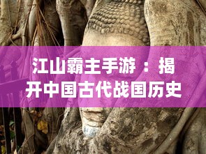 江山霸主手游 ：揭开中国古代战国历史的神秘面纱，展现一代君王征战四方的豪情壮志