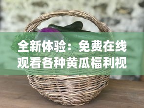 全新体验：免费在线观看各种黄瓜福利视频，探索黄瓜种植、食用及美容保健秘密