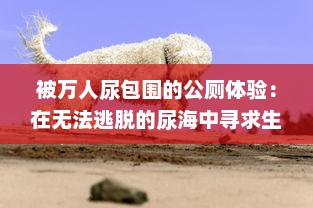 被万人尿包围的公厕体验：在无法逃脱的尿海中寻求生存的荒诞挑战 v5.6.6下载