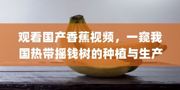 观看国产香蕉视频，一窥我国热带摇钱树的种植与生产全过程 v4.2.5下载