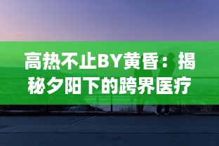 高热不止BY黄昏：揭秘夕阳下的跨界医疗故事，触探生命的热度与无尽希望 v0.2.4下载