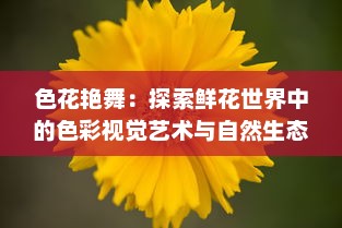 色花艳舞：探索鲜花世界中的色彩视觉艺术与自然生态之美的全新解读 v0.8.6下载