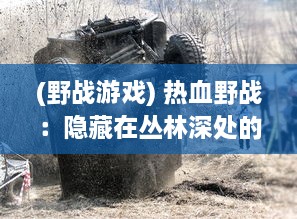 (野战游戏) 热血野战：隐藏在丛林深处的欢愉与危险，激情四溢的高H探险