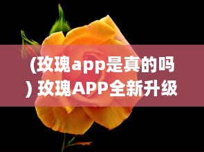 (玫瑰app是真的吗) 玫瑰APP全新升级 探索爱情的无限可能，让玫瑰引领你的浪漫之旅