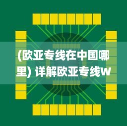 (欧亚专线在中国哪里) 详解欧亚专线W码与其他类别码之间的独特区别与功能性应用