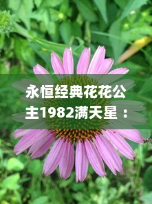 永恒经典花花公主1982满天星 ：回忆那段如星辰般璀璨的青春岁月 v5.8.2下载