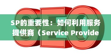 SP的重要性：如何利用服务提供商（Service Provider）有效提高业务运营效率 v8.7.8下载