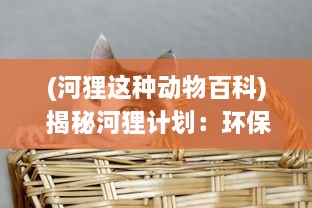 (河狸这种动物百科) 揭秘河狸计划：环保工程的生态益处与经济效益双重考量