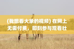 (我想看大象的视频) 在网上无需付费，即刻参与观看壮观大象生活场景的高清视频