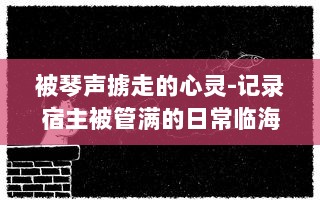 被琴声掳走的心灵-记录宿主被管满的日常临海生活与音乐故事的种种瞬间