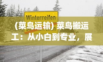 (菜鸟运输) 菜鸟搬运工：从小白到专业，展现普通人的职场成长历程