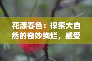 花漾春色：探索大自然的奇妙绚烂，感受生活中的每一抹灿烂色彩