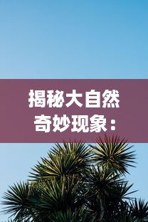 揭秘大自然奇妙现象：含羞草感应反应视频在线观看及科学原理解析