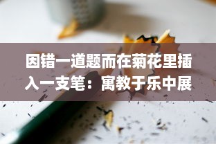 因错一道题而在菊花里插入一支笔：寓教于乐中展现出的对细节的执着追求 v8.3.0下载