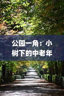 公园一角：小树下的中老年人交易画面，揭示城市生活中不为人知的一面图片集展示