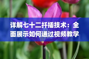 详解七十二扦插技术：全面展示如何通过视频教学高效稼动春季果树扦插繁殖