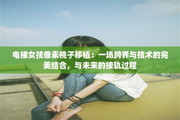 电梯女孩像素桃子移植：一场跨界与技术的完美结合，与未来的接轨过程