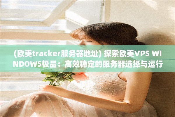 (欧美tracker服务器地址) 探索欧美VPS WINDOWS极品：高效稳定的服务器选择与运行维护实践指南