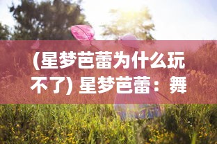 (星梦芭蕾为什么玩不了) 星梦芭蕾：舞动青春，追逐梦想，揭秘芭蕾舞者的光彩与挑战