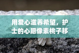 用爱心滋养希望，护士的心愿像素桃子移植赋予生命新的可能性