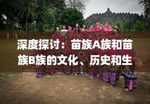 深度探讨：苗族A族和苗族B族的文化、历史和生活习惯有哪些主要区别