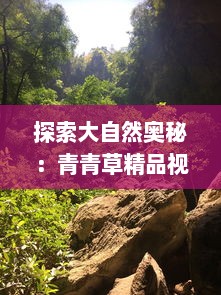 探索大自然奥秘：青青草精品视频让您亲密接触自然，感受生命力的流动