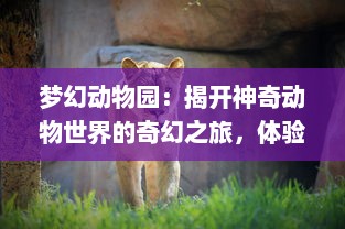 梦幻动物园：揭开神奇动物世界的奇幻之旅，体验未知的自然奇观