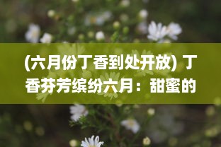 (六月份丁香到处开放) 丁香芬芳缤纷六月：甜蜜的生活、初夏的浪漫与满溢的盛夏香气