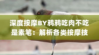 深度按摩BY鸦鸦吃肉不吃是素笔：解析各类按摩技巧，打破肉食素食的疑惑，揭示生活中的智慧与哲理