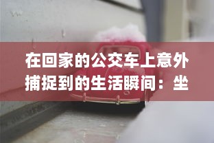 在回家的公交车上意外捕捉到的生活瞬间：坐公交车居然为我带来了两幅富有人情味的图片 v4.7.0下载