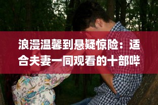 浪漫温馨到悬疑惊险：适合夫妻一同观看的十部哔哩哔哩精选电视剧推荐