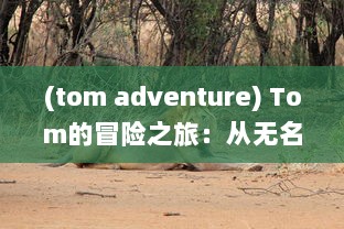 (tom adventure) Tom的冒险之旅：从无名小卒到企业巨头的成长历程