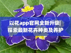 以花app官网全新升级| 探索最新花卉种类及养护秘籍| 一站式花卉购物体验