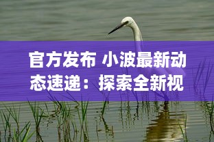 官方发布 小波最新动态速递：探索全新视界，引领科技创新之潮 ，了解详情