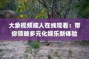 大象视频成人在线观看：带你领略多元化娱乐新体验，探索丰富多彩的成人教育视界 v8.0.3下载