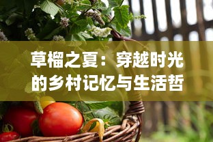 草榴之夏：穿越时光的乡村记忆与生活哲学的深度挖掘 v8.8.2下载