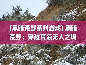 (黑暗荒野系列游戏) 黑暗荒野：穿越荒凉无人之境，揭开厚重黑幕下的神秘与未知