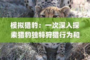 模拟猎豹：一次深入探索猎豹独特狩猎行为和飞跃性进化的精彩之旅