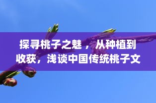 探寻桃子之魅 ，从种植到收获，浅谈中国传统桃子文化与现代桃子产业发展