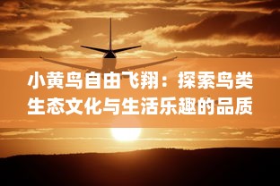 小黄鸟自由飞翔：探索鸟类生态文化与生活乐趣的品质生活之旅 v0.5.4下载