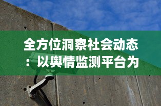 全方位洞察社会动态：以舆情监测平台为工具进行实时信息追踪与深度分析 v7.9.9下载