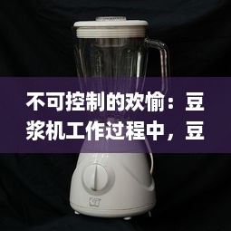 不可控制的欢愉：豆浆机工作过程中，豆浆爆溢出来的瞬间探寻 v1.1.1下载